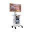 CF601 Full HD Endoscope Camera Tower System