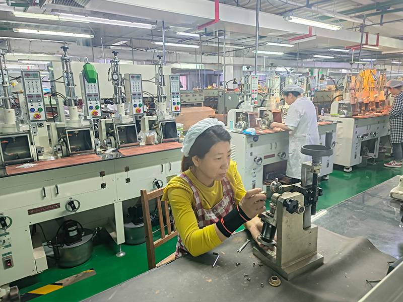 Camjoy Medical Clean Room Assembly Line for Endoscopes