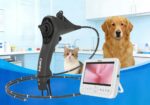 Camjoy flexible endoscope for animals (44)