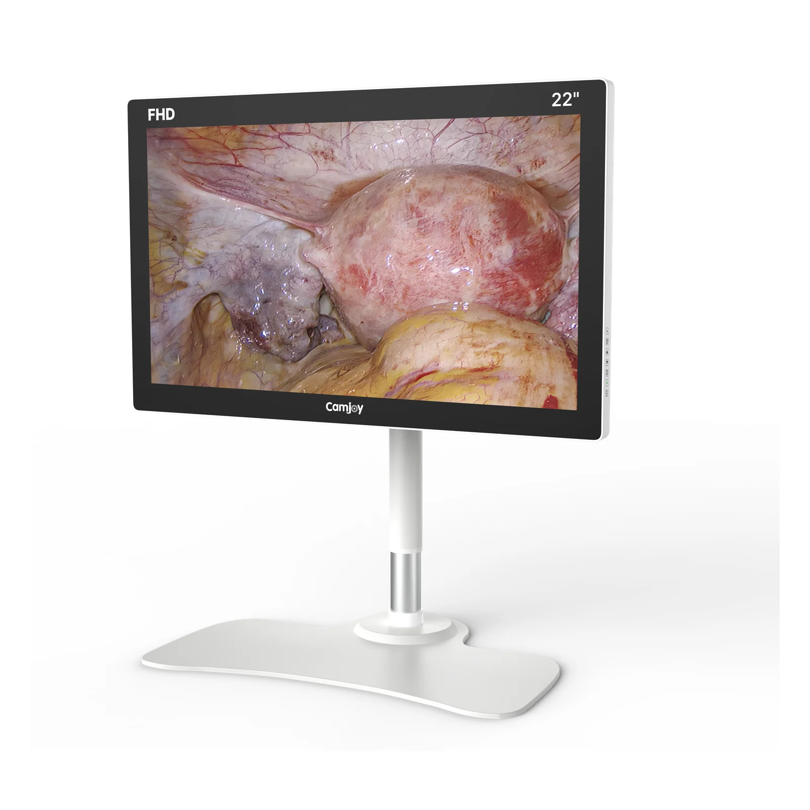 Camjoy CF1 22" - Vue en perspective