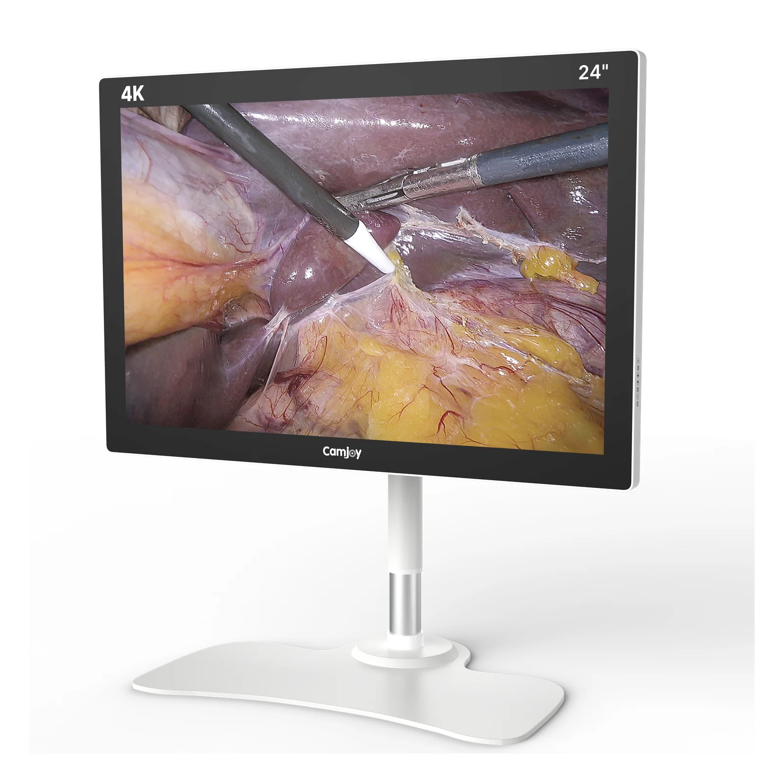 Camjoy CK1 24" - منظر مائل