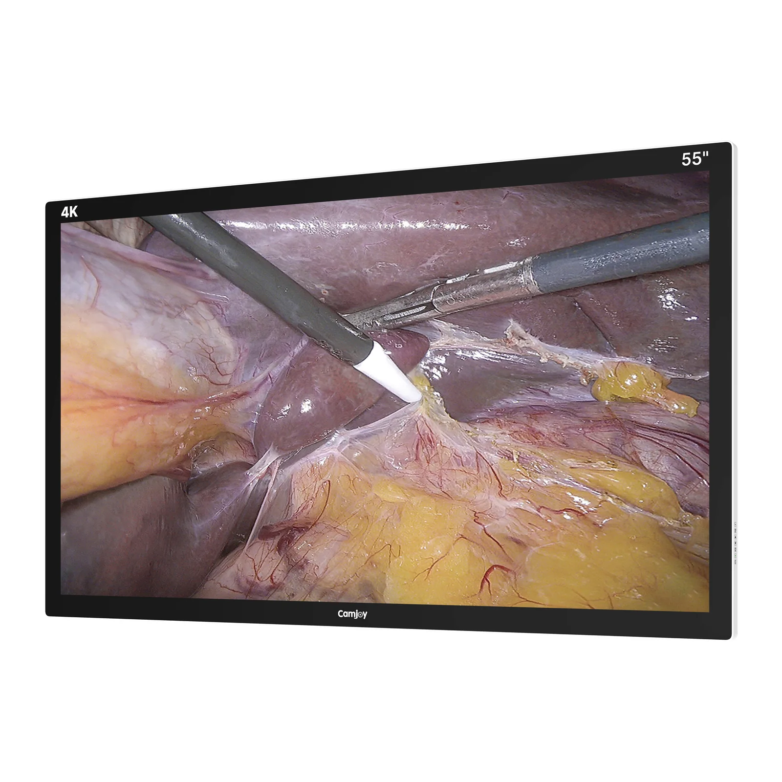 Camjoy CK1 55" - منظر مائل