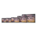Camjoy CK1 4K surgical monitor size family